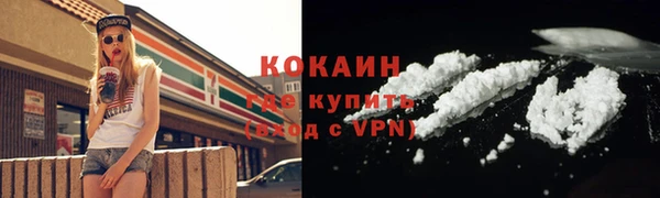 сатива Зеленокумск