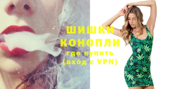 сатива Зеленокумск