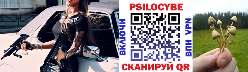 Псилоцибиновые грибы мицелий  Купить  Камызяк 